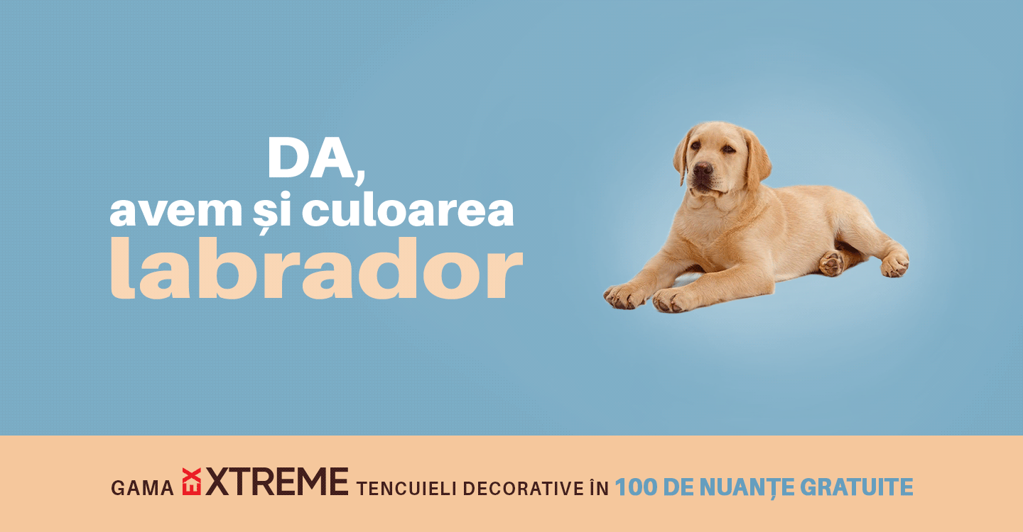 1440x750-Campanie-Tencuiala-labrador